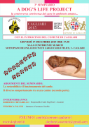 A Dog's Life Project - 4° seminario