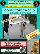 Corso Conduttore Cinofilo 