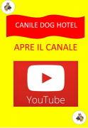 Apre il canale You Tube