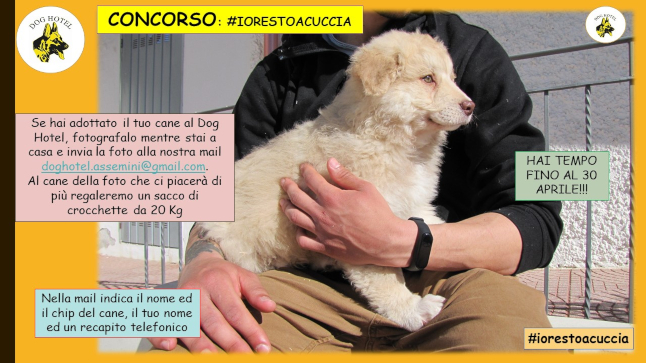 CONCORSO #iorestoacuccia