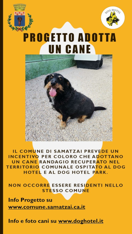 Progetto Adotta un Cane