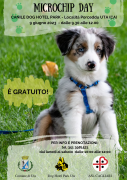 Microchip Day Comune di Uta